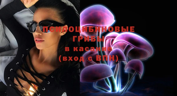 ешки Нефтегорск