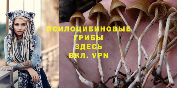 ешки Нефтегорск