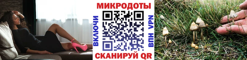 Псилоцибиновые грибы Psilocybe  Рассказово 